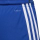 Adidas Tastigo 19 Children's Shorts JUNIOR blue DP3682/DP3686