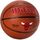 Wilson Team Alliance Chicago Bulls Ball WTB3100XBCHI