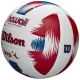 Wilson Hawaii AVP Ball WTH80219KIT
