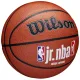 Wilson Jr NBA Fam Logo In/Out Ball WZ2009801XB