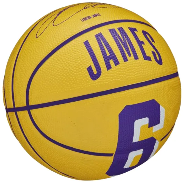 Wilson NBA Player Icon LeBron James Mini Ball WZ4007201XB