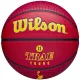 Wilson NBA Player Icon Trae Young Outdoor Ball WZ4013201XB