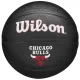 Wilson Team Tribute Chicago Bulls Mini Ball WZ4017602XB