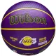 Wilson NBA Player Icon LeBron James Outdoor Ball WZ4027601XB