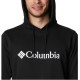 Columbia CSC Basic Logo II Hoodie 1681664005