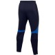 Nike Dri-FIT Academy Pro Pants DH9240-451