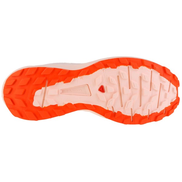 Salomon Sense Ride 4 414503