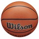 Wilson Evolution Indoor Game Ball WTB0516XBEMEA