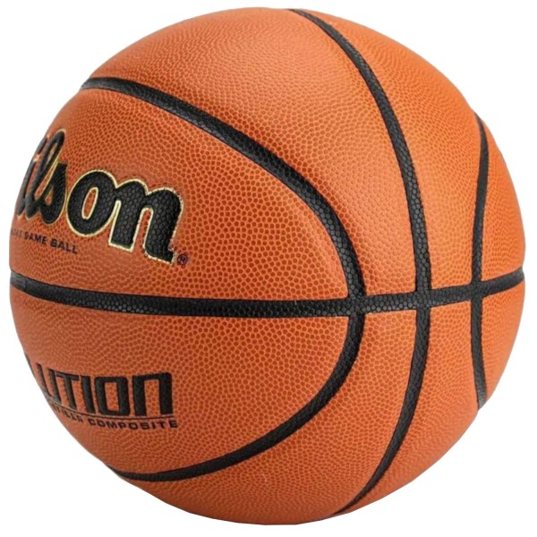 Wilson Evolution Indoor Game Ball WTB0586XBEMEA
