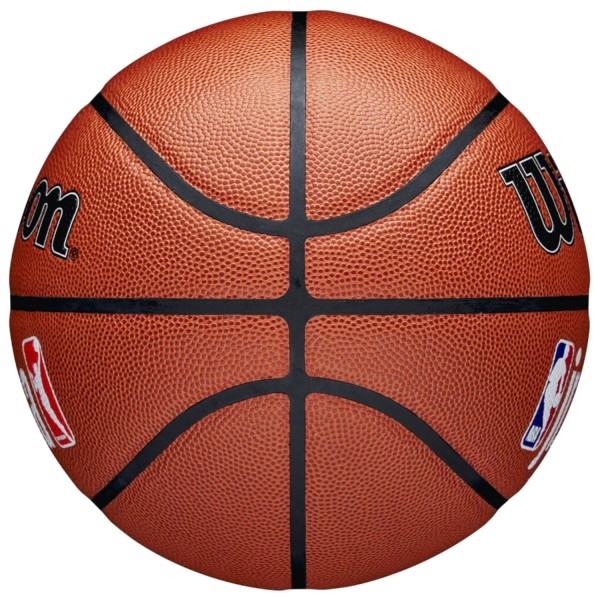 Wilson Jr NBA Fam Logo In/Out Ball WZ2009801XB