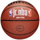 Wilson Jr NBA Fam Logo In/Out Ball WZ2009801XB