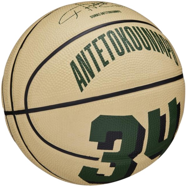 Wilson NBA Player Icon Giannis Antetokounmpo Mini Ball WZ4007501XB