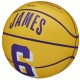 Wilson NBA Player Icon LeBron James Mini Ball WZ4007201XB