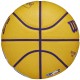 Wilson NBA Player Icon LeBron James Mini Ball WZ4007201XB