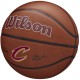 Wilson NBA Team Alliance Cleveland Cavaliers Ball WZ4011901XB
