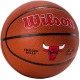 Wilson Team Alliance Chicago Bulls Ball WTB3100XBCHI