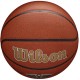 Wilson Team Alliance New Orleans Pelicans Ball WTB3100XBBNO