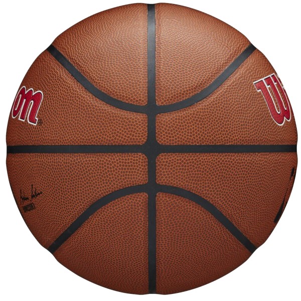 Wilson Team Alliance Toronto Raptors Ball WTB3100XBTOR