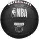 Wilson Team Tribute Miami Heat Mini Ball WZ4017607XB